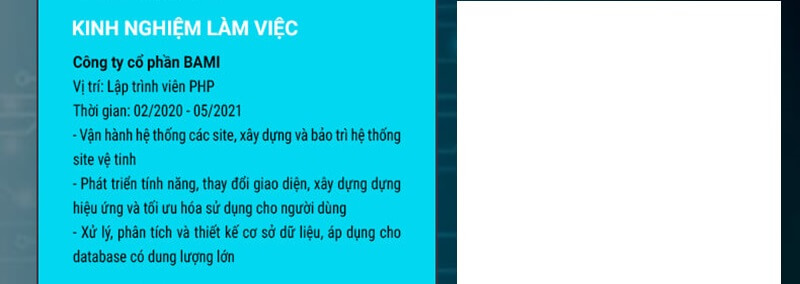 Phần kinh nghiệm làm việc của bản CV IT phần mềm