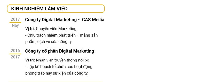 Kinh nghiệm làm việc trong bản CV xin việc Marketing