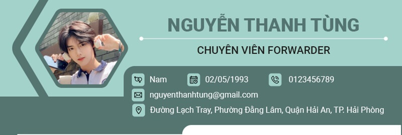 Phần thông tin cá nhân của mẫu CV xin việc ngành Logistics