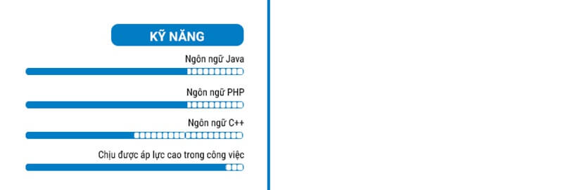 Phần kỹ năng của bản CV xin việc IT phần cứng mạng