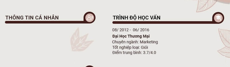 Phần trình độ học vấn của bản CV xin việc Telesales