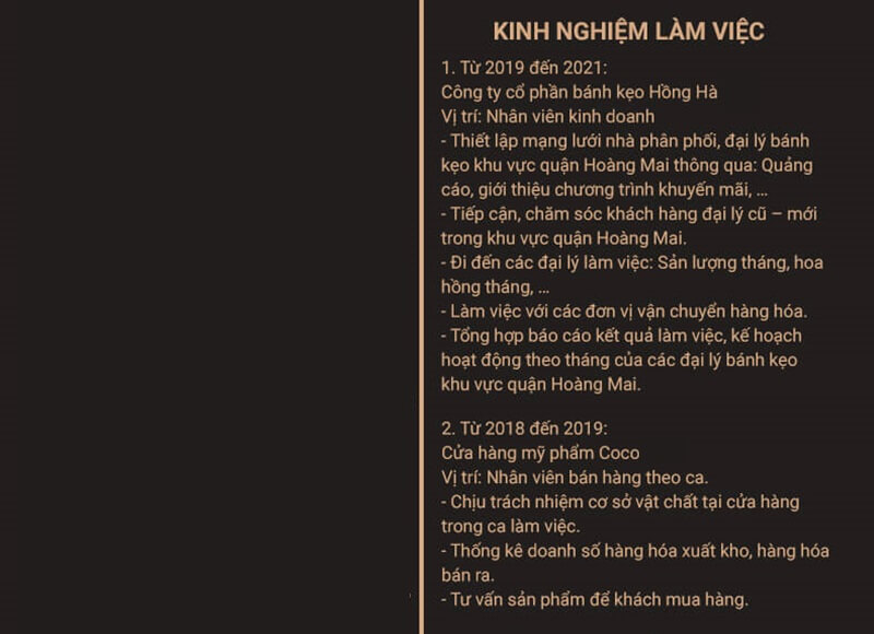 Phần kinh nghiệm làm việc của CV xin việc kinh doanh