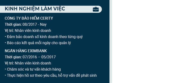 Phần kinh nghiệm làm việc trong CV xin việc tư vấn bảo hiểm