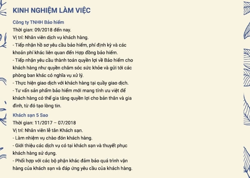 Phần kinh nghiệm làm việc - chứng minh khả năng thực tế