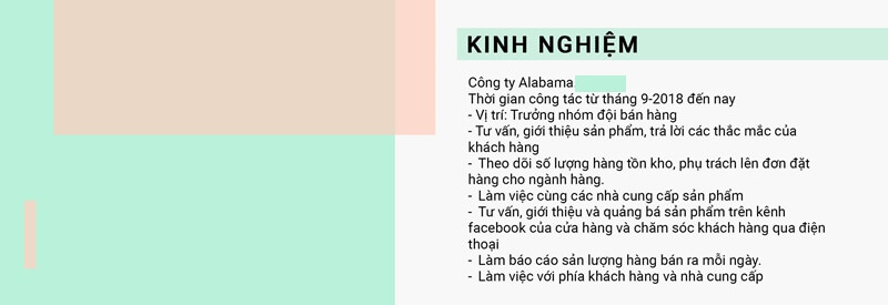 Kinh nghiệm làm việc trong CV ngành nhập liệu