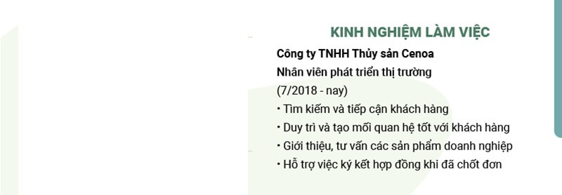 Phần kinh nghiệm làm việc của CV xin việc ngành Thủy Sản