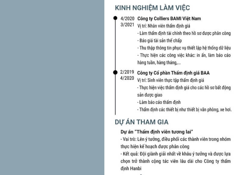 Phần kinh nghiệm làm việc của CV thẩm định giám định