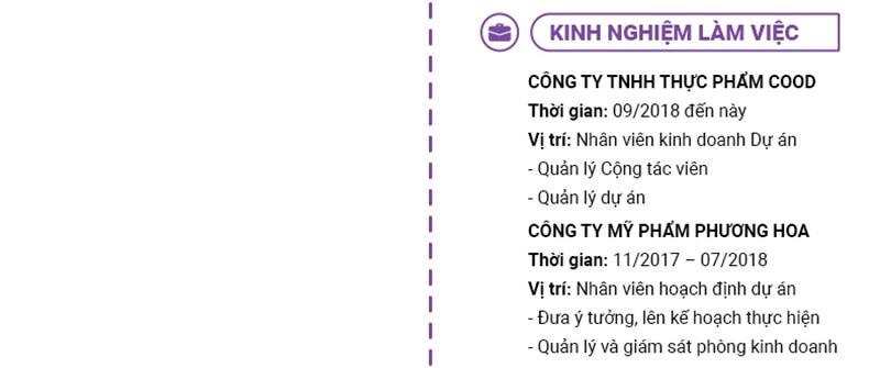 Phần kinh nghiệm làm việc của CV hoạch định - dự án